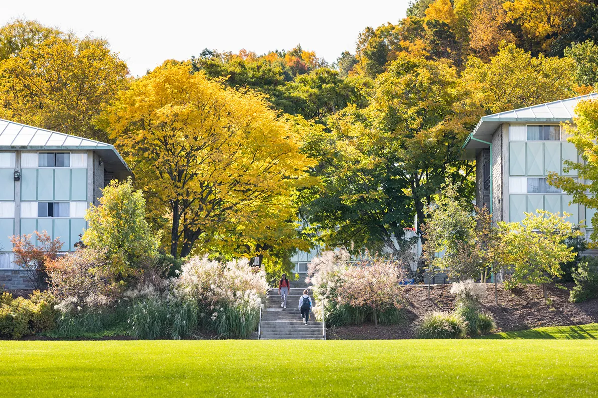 Students walk up stairs on campus