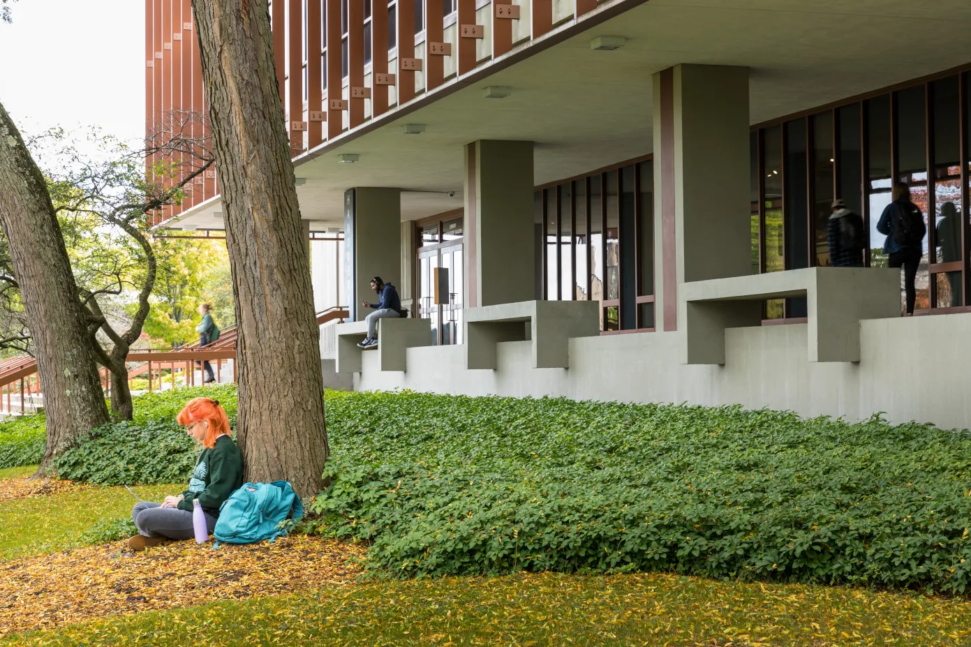 students studying by library