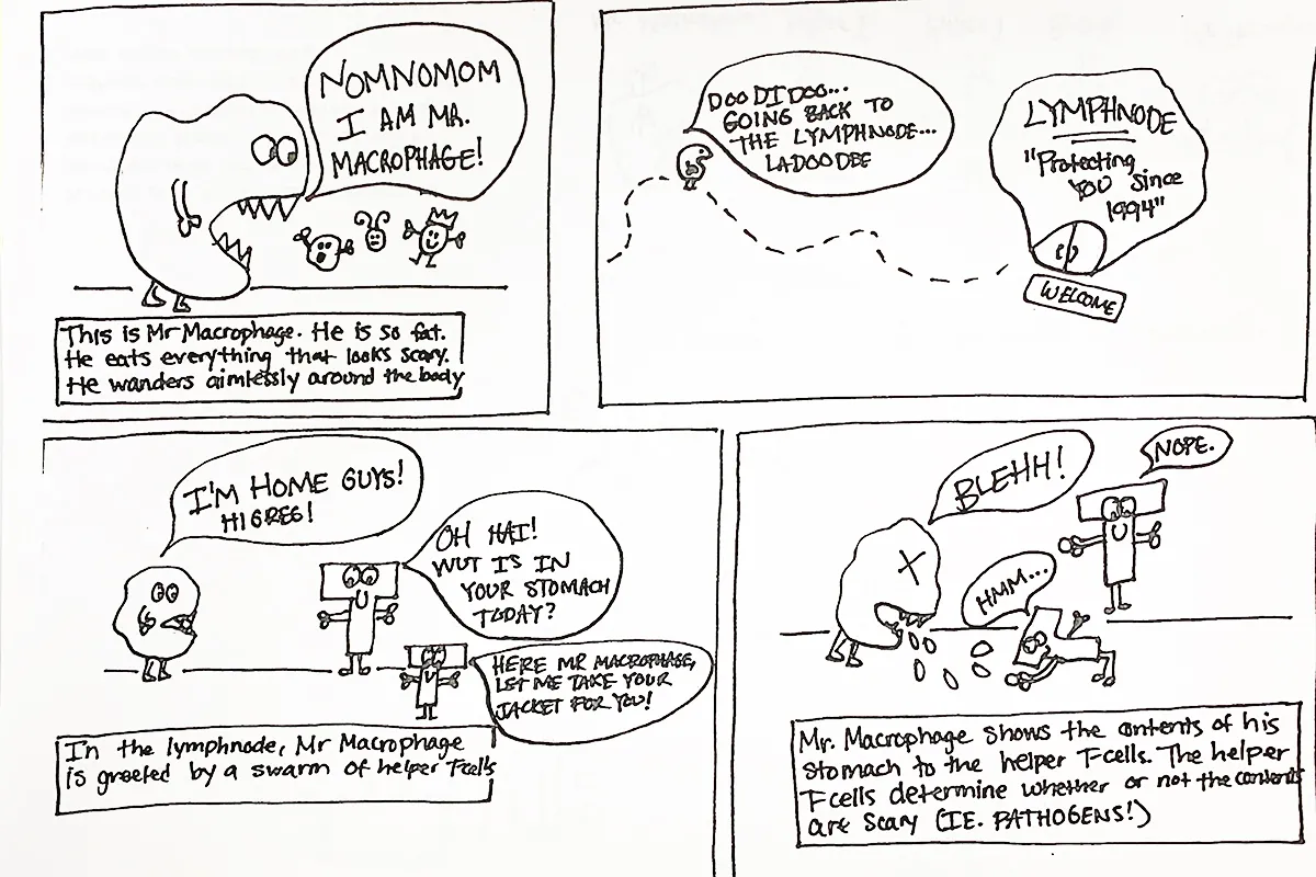 cartoon on the immune system