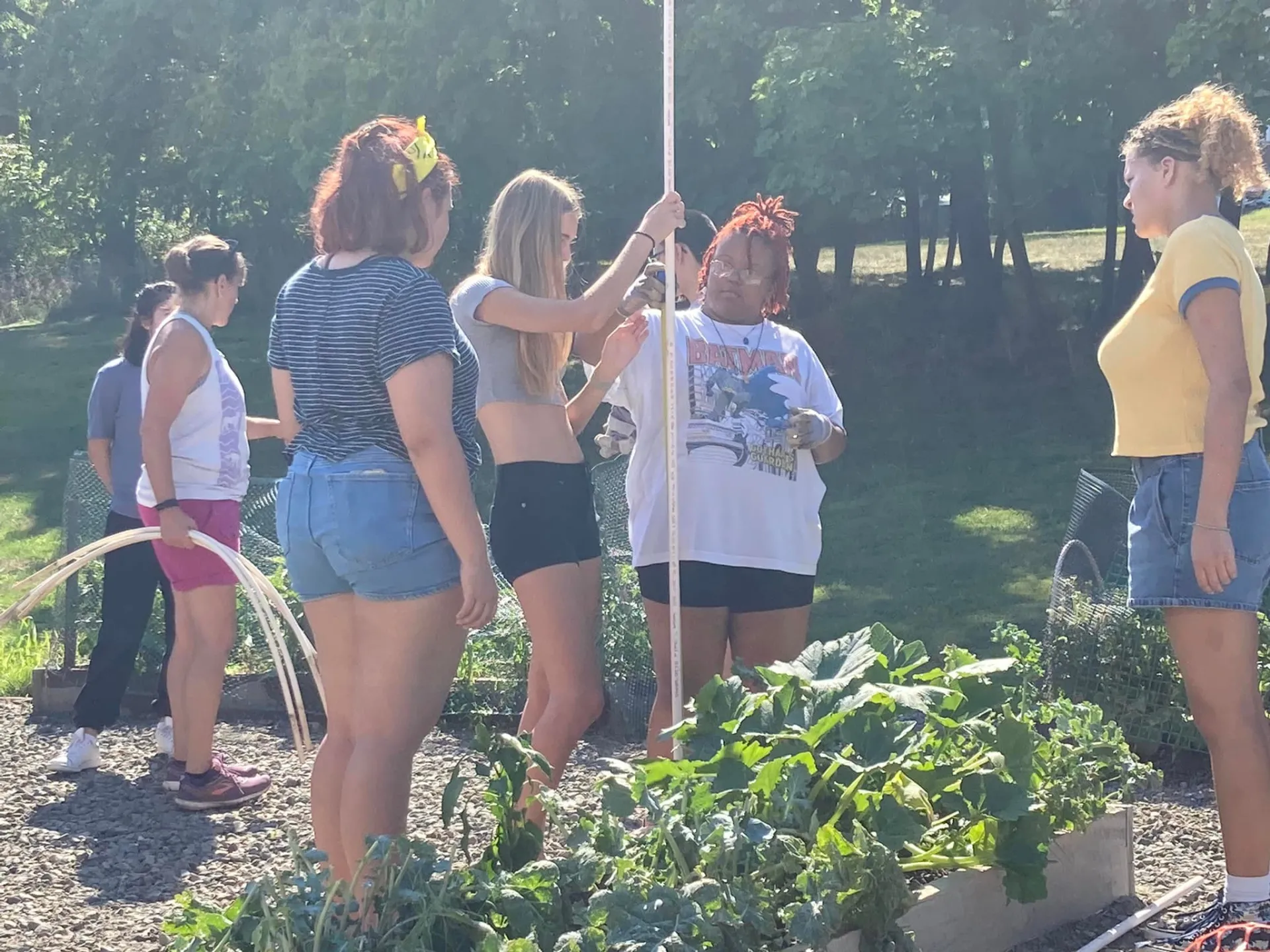 Students standing above a garden
