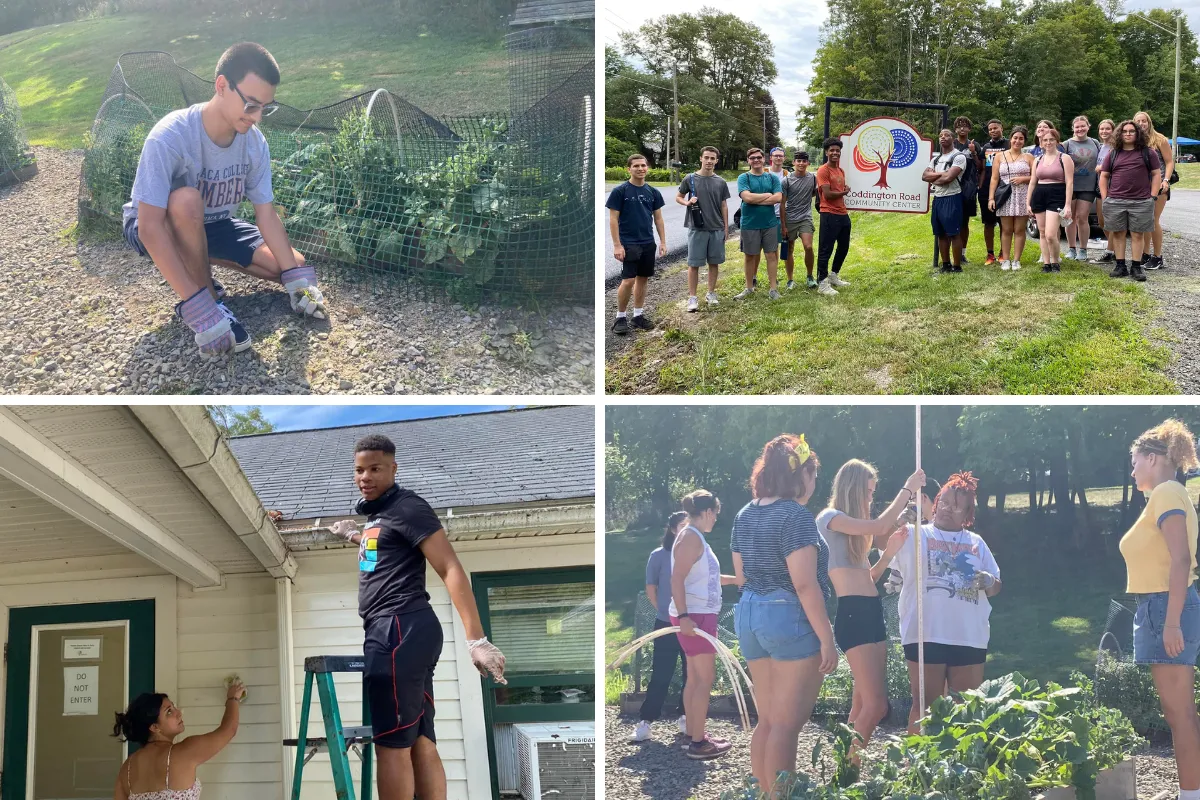 Collage of students working