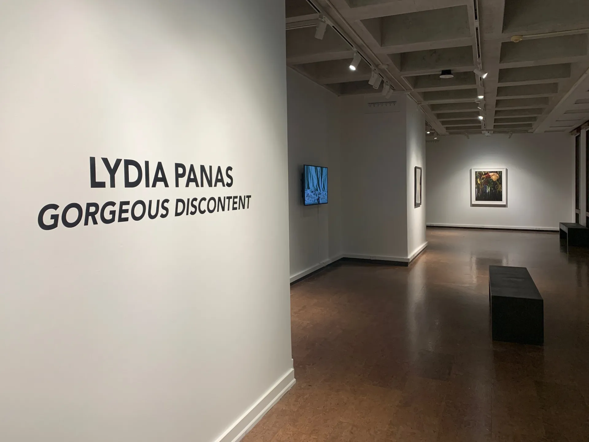 Lydia Panas entryway 