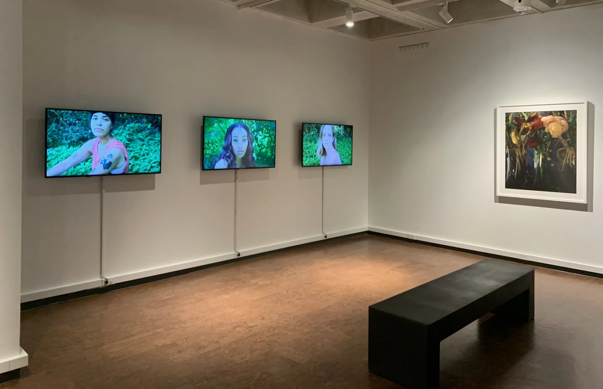 Lydia Panas Installation shot