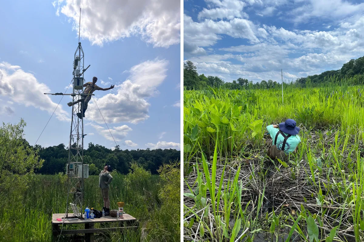 Matthew Weil in the air and wetlands