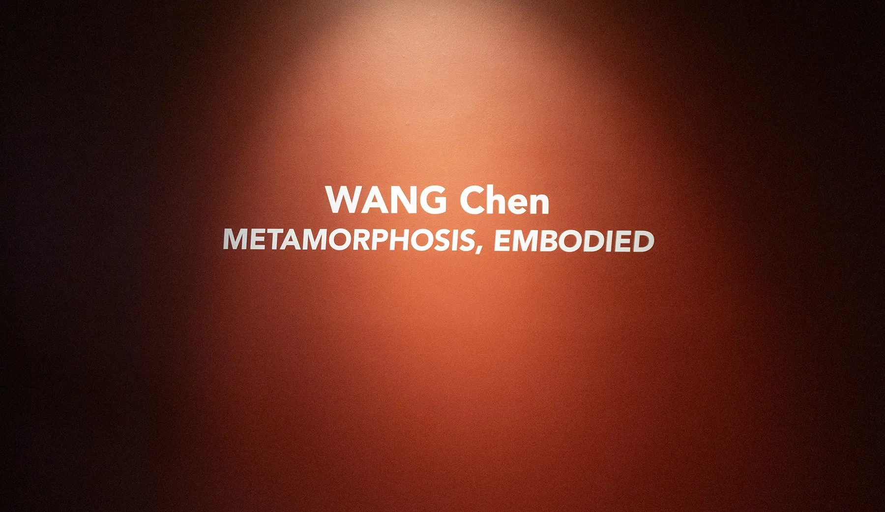 Chen Wang: Metamorphosis, Embodied