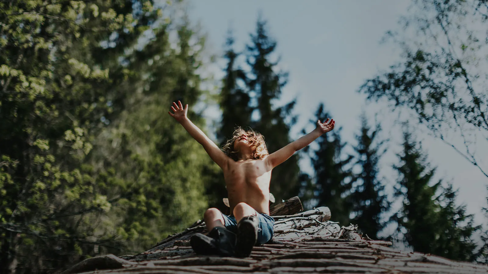 a new kind of wilderness