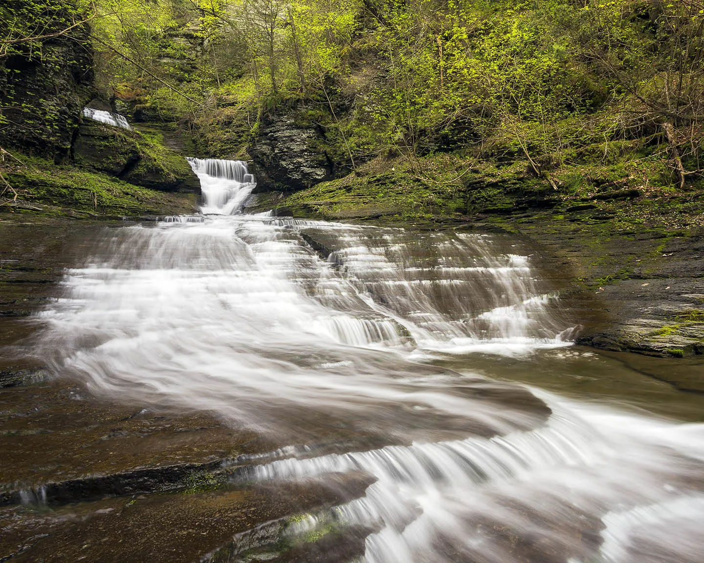 Van Buskirk Creek in Newfield