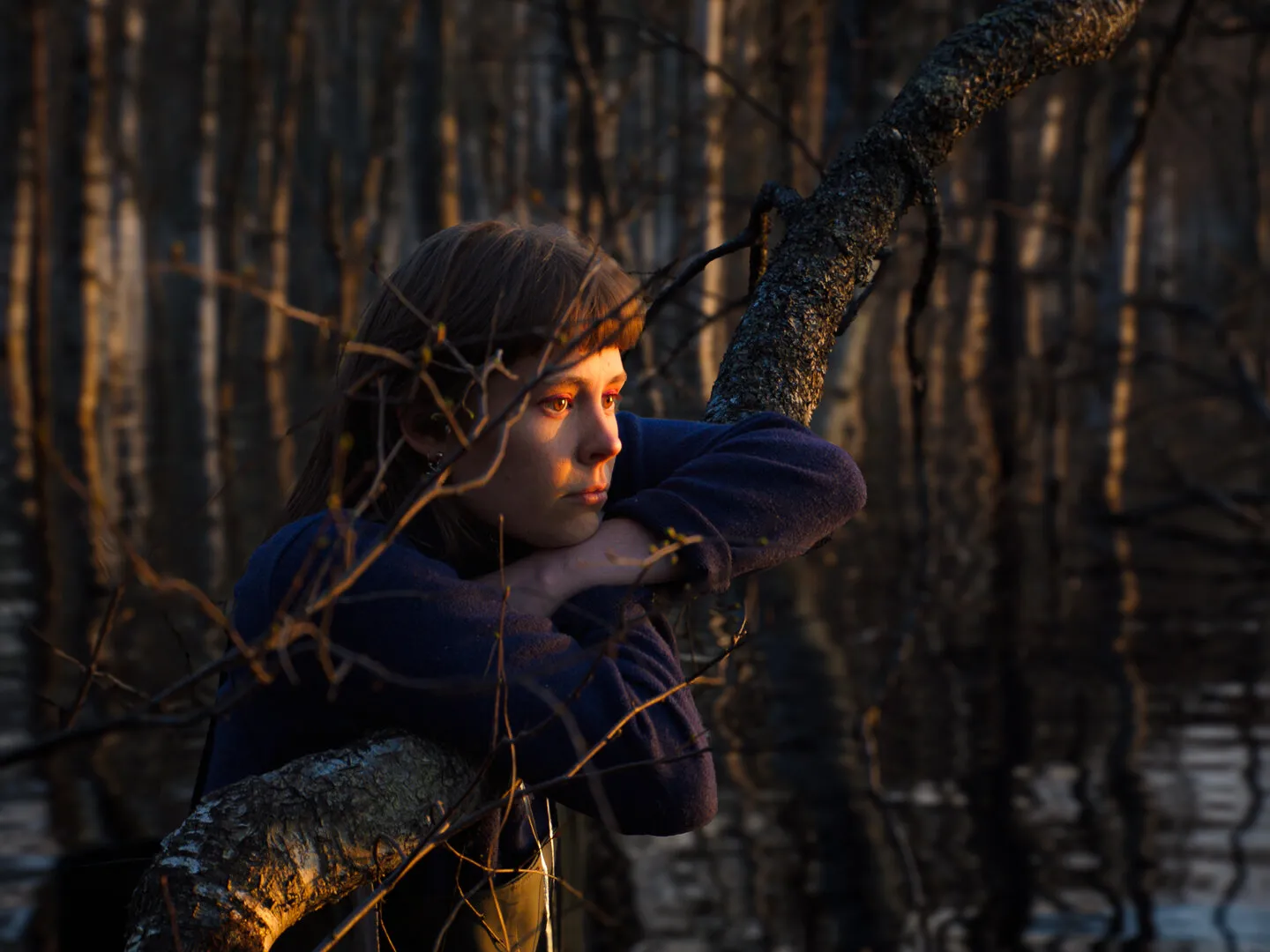 once upon a time in a forest