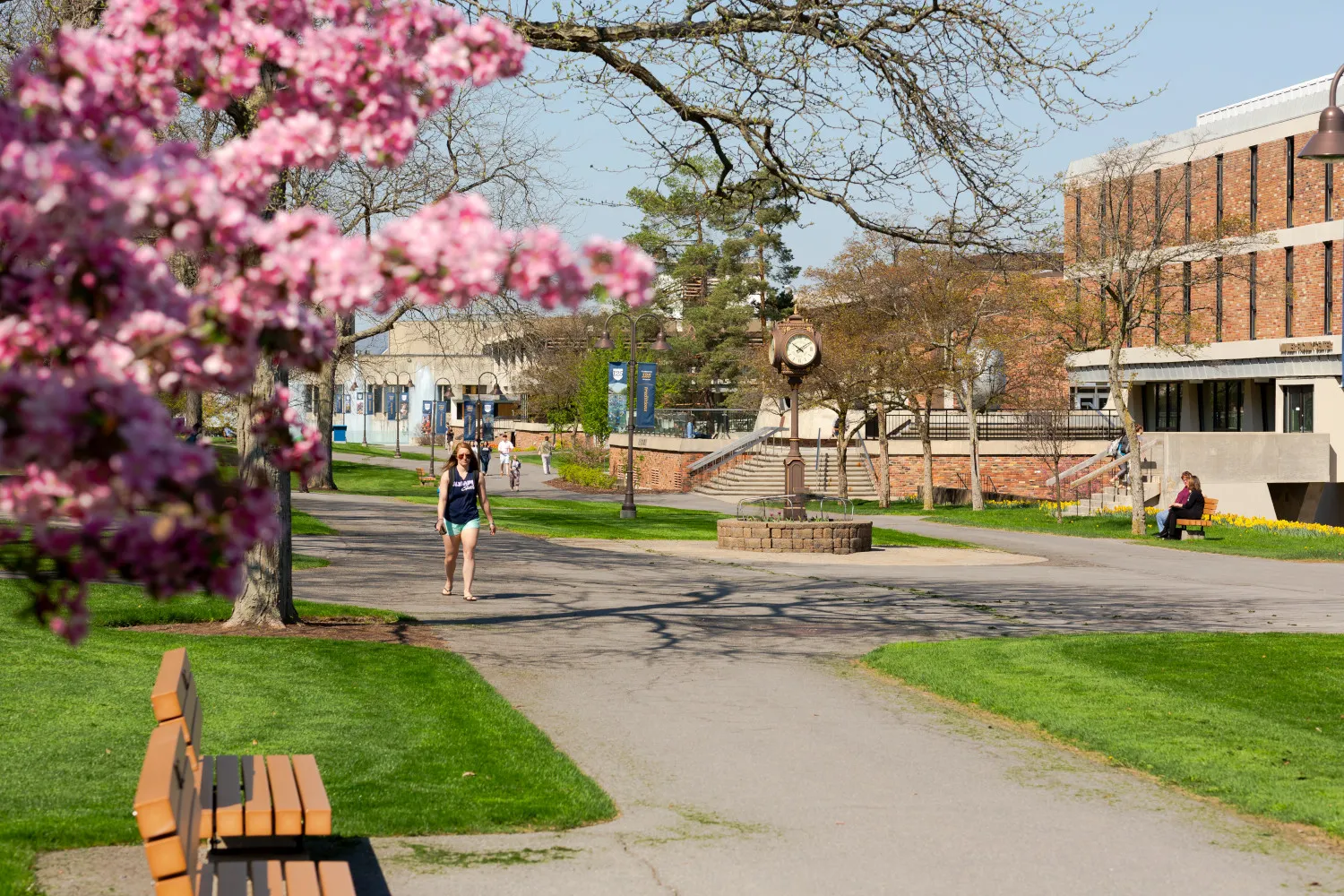 A student walks across a campus with spring flowers blooming. 