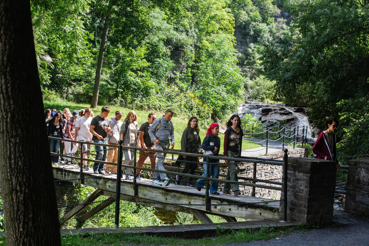 A group of students walk across a bridge in a forest. 