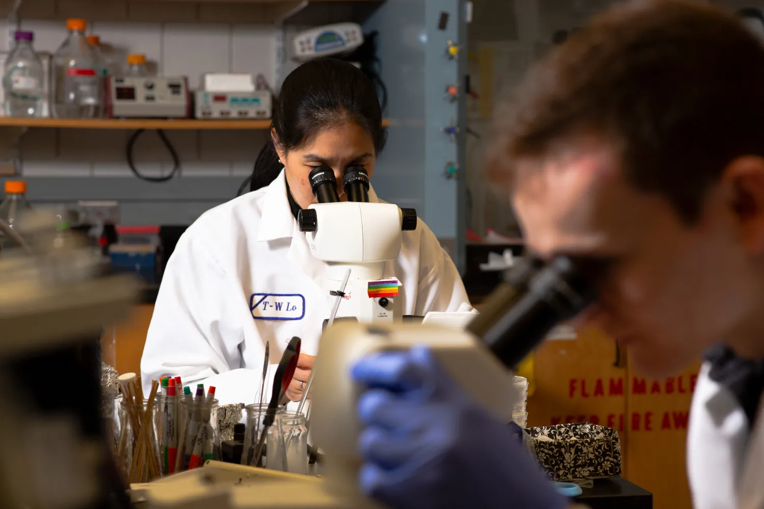 students conducting chemistry research