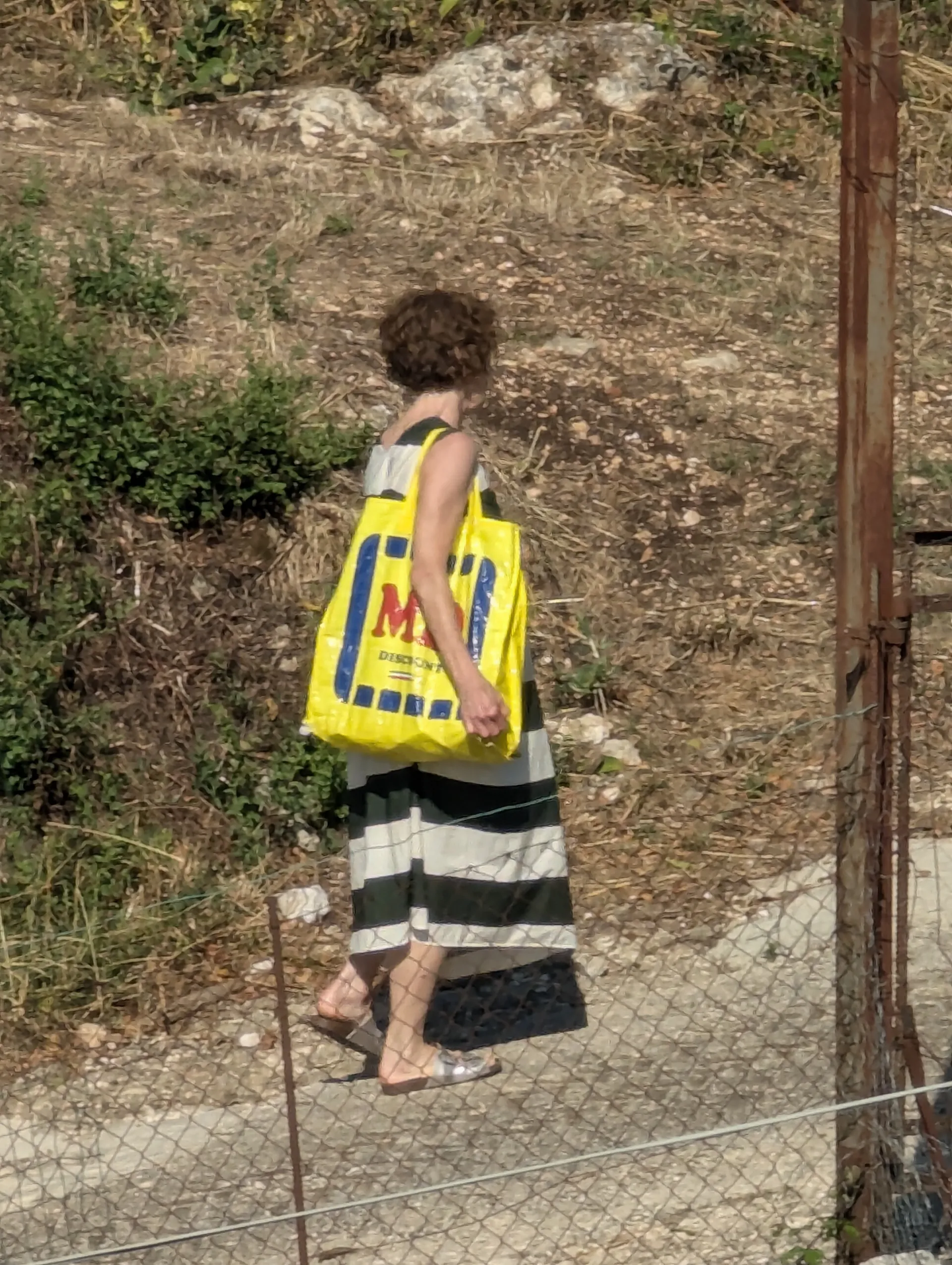 Capaldi walking towards the path to my grandfathers village, gathering stones, in Collemachia, Italy