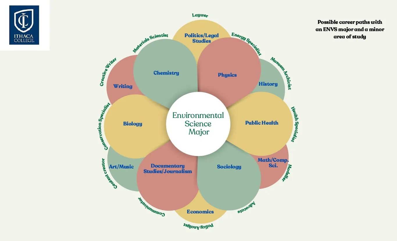 Career Options with Major-Minor Combinations