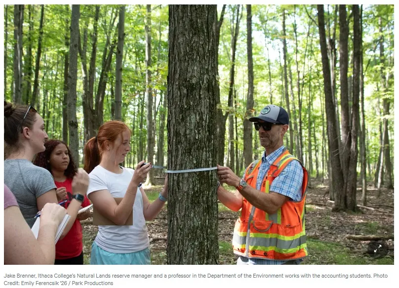 Jake Brenner measuring trees