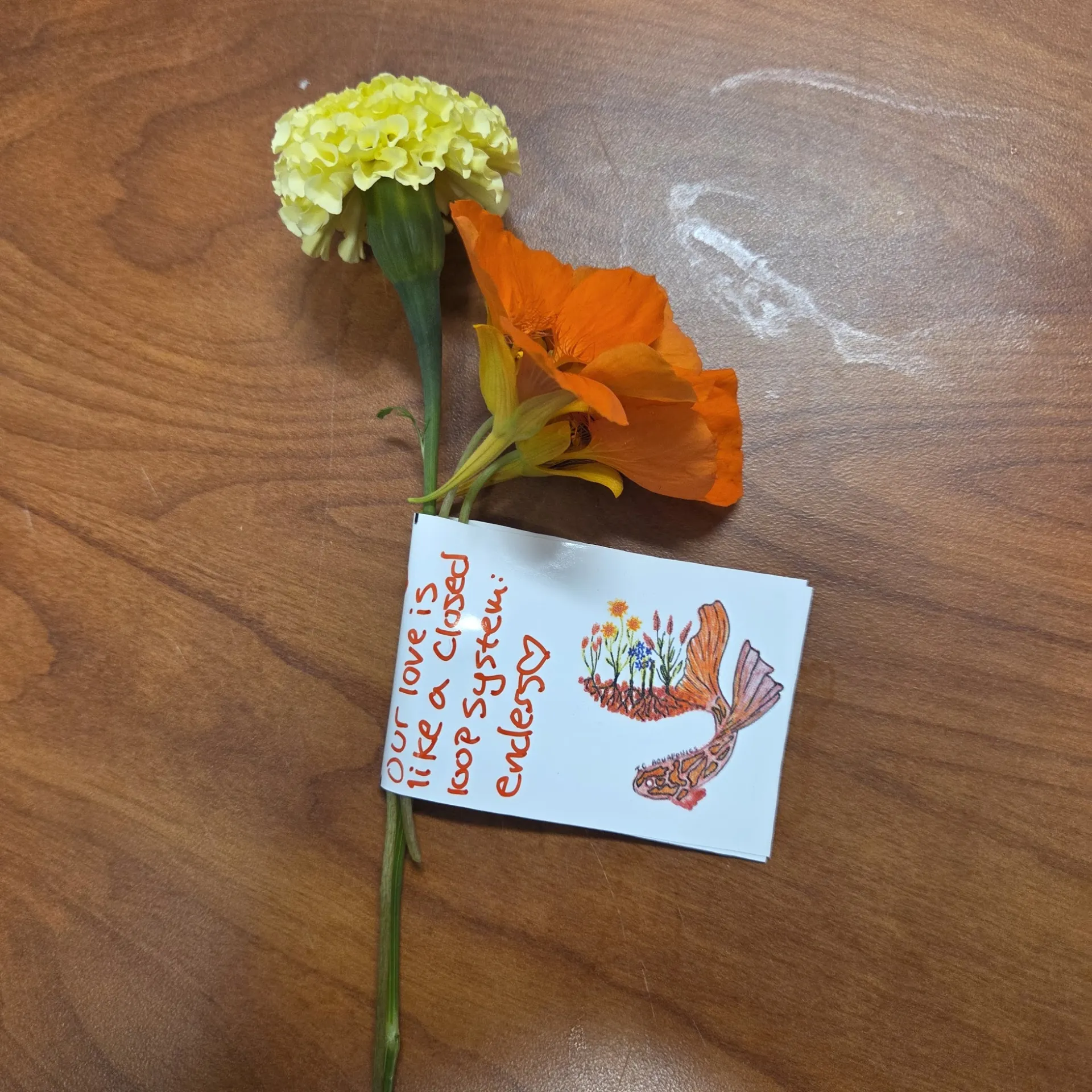 Aquaponic Grows V DAy flowers