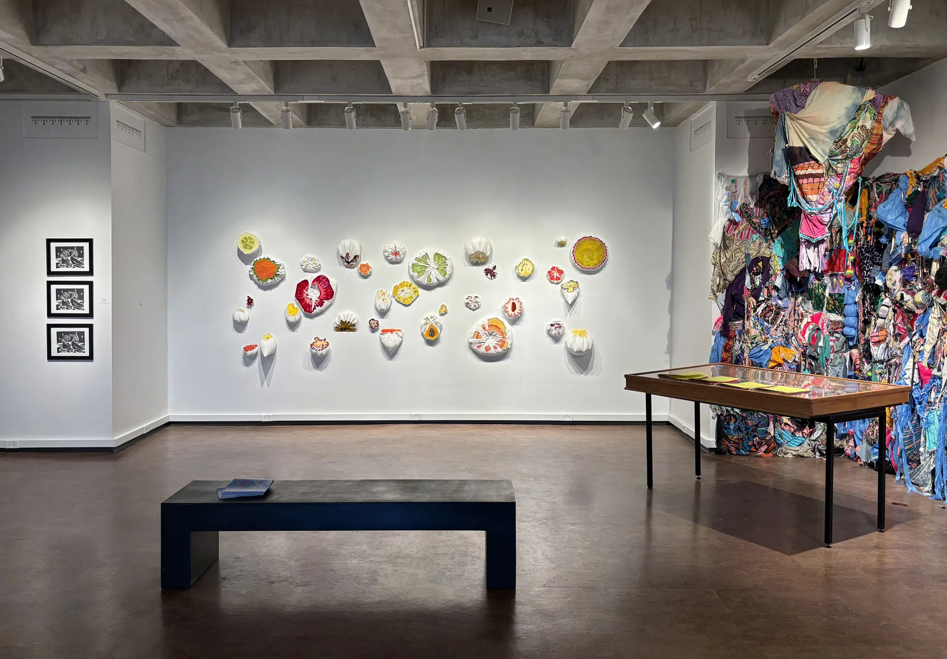 Sophia Bartolomeo, Lee Kreshtool BFA Art, Vic BFA Art