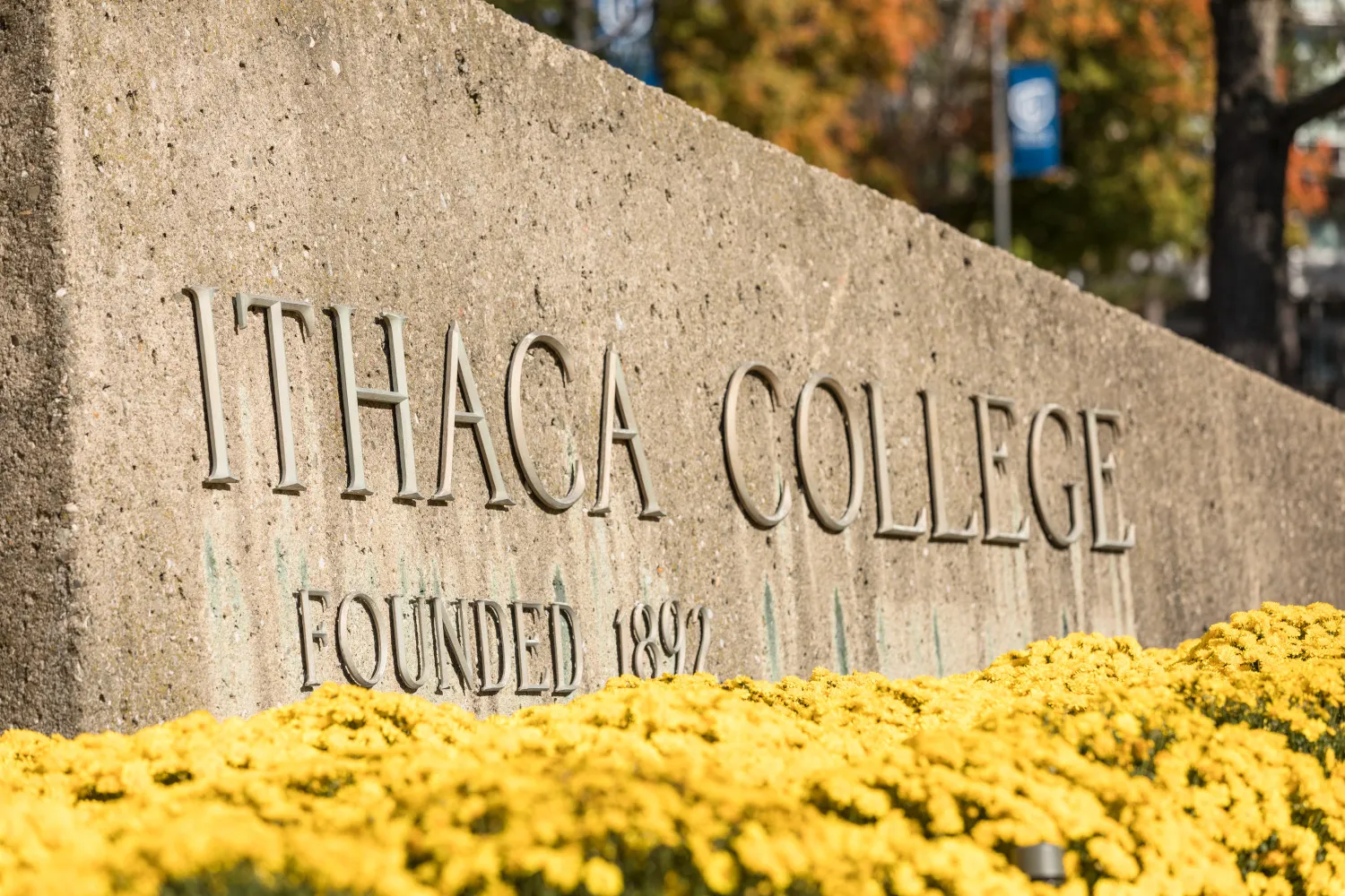 The Ithaca College campus entrance sign with yellow flowers.