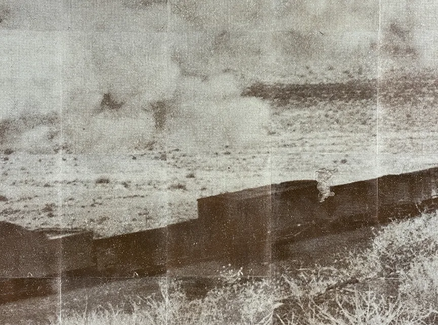 Carla Liesching detail