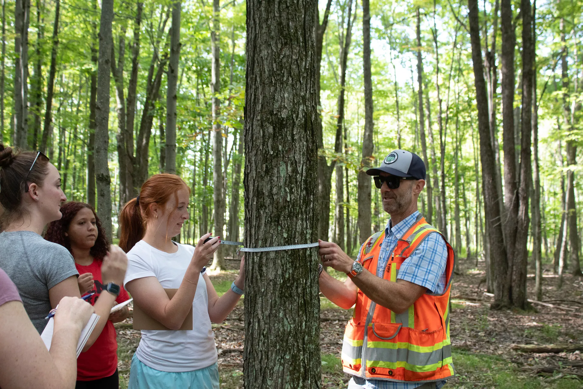 Students wrap a measuring tape around a tree within the forests of Ithaca College's Natural Lands