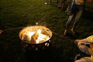 Marshmallows roasting on an open fire