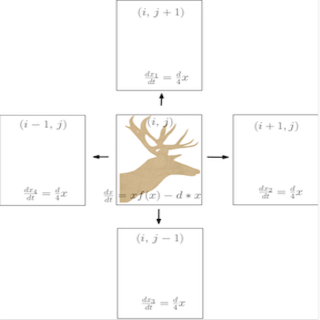 deer dynamics