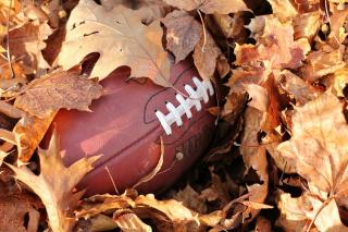 A football in fallen leaves.