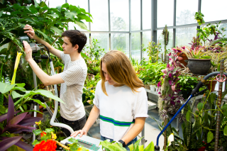 Students working in the college greenhouse 