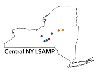 An outline of New York with seven colored dots and the words Central NY LSAMP