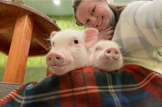 girl with two baby pigs