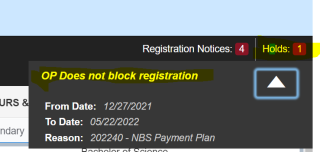 Image of holds in HomerConnect that do not block registration.