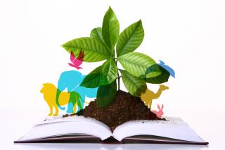 Plant and animals on a book