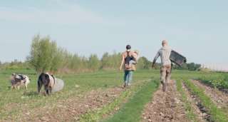 a woman and a man walking through a planted field