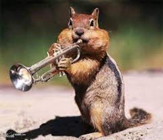 Chipmunk playing horn