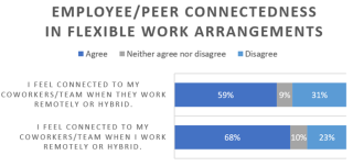 Figure 5. Employee/Peer Connectedness in Flexible Work Arrangements.