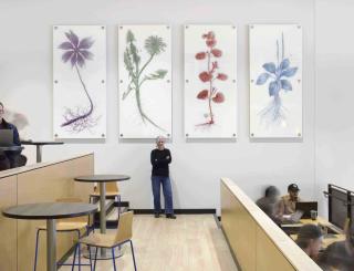 Inhabit 2022 SUNY Buffalo, One World Café Photograph, Biff Heinrichs Laminated Glass
