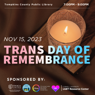 Trans Day of Remembrance 11-15
