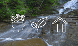 Waterfall background with flower, leaf, house graphics