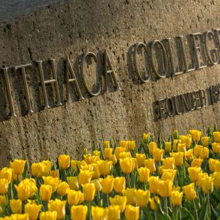 The concrete structure at the main entrance to Ithaca College surrouned by yellow tulips.