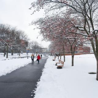 A paved pathtway through a snow-covered and tree-lined campus quad.