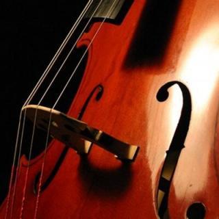 Closeup of a cello and its strings.