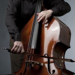 Closeup of a musician playing a double bass. 