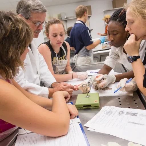 A group of four students are standing at a lab table listening to their professor, wearing a white lab coat, discussing an anatomical body part. There are papers with anatomical drawings on the lab table.