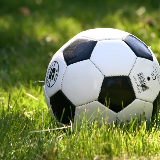 Soccer ball in grass. 