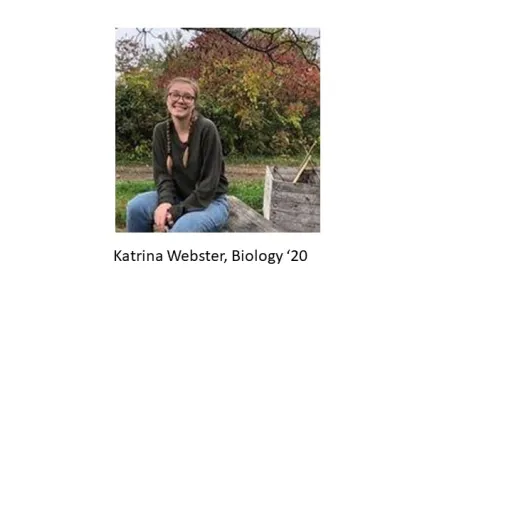 person sitting on a bench