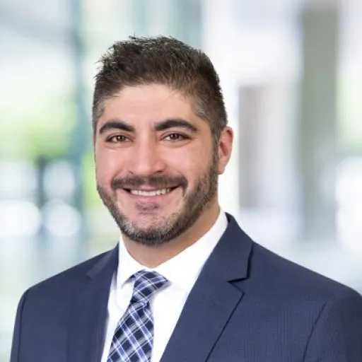 Arash Arabi Politics '00