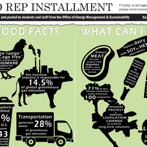 IC Eco Reps November 2020 edition - food facts