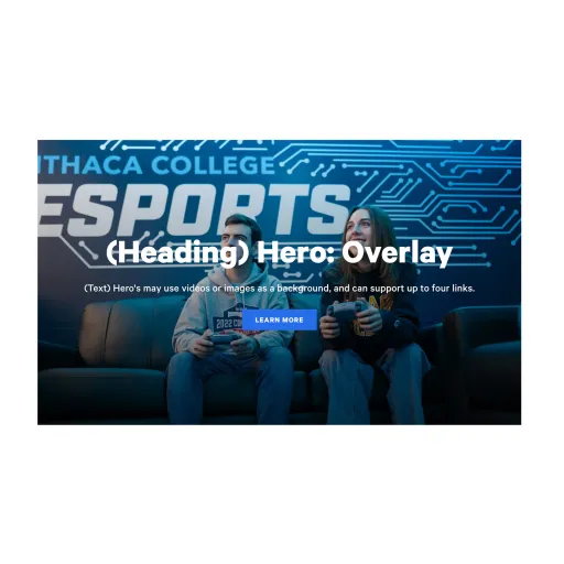 An example of the Hero: Overlay paragraph / component. Formerly simply "Hero".