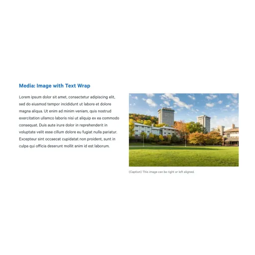 Example image of "Image with Wrap Text", formerly "Image Flow Text"