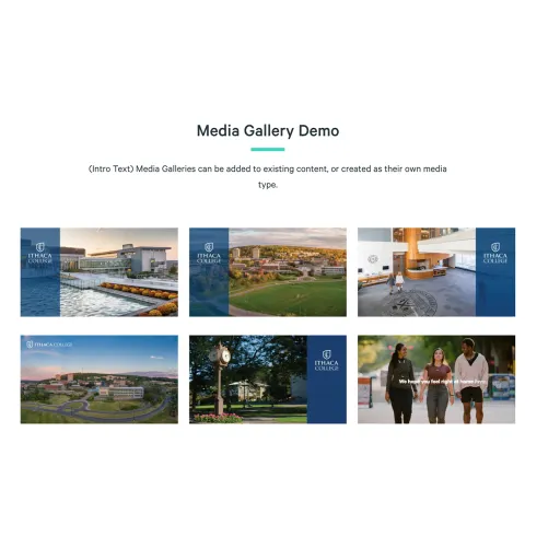Example image of the "Media: Gallery" component / paragraph